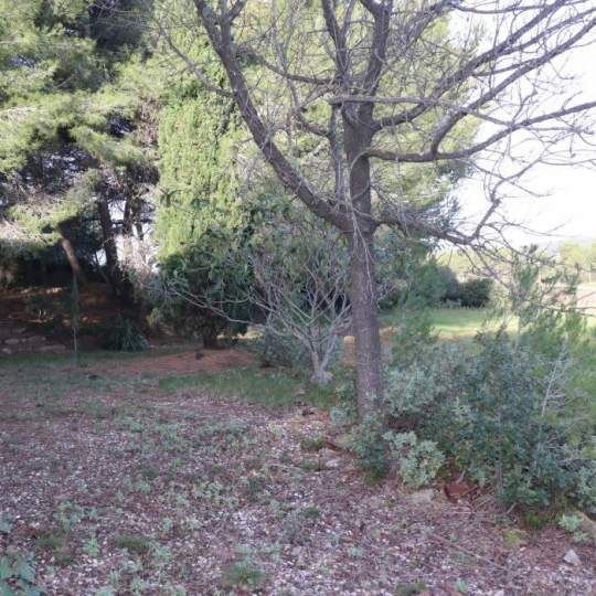  A MEZE IMMOBILIER : Terrain | MEZE (34140) | 30 m2 | 84 000 € 