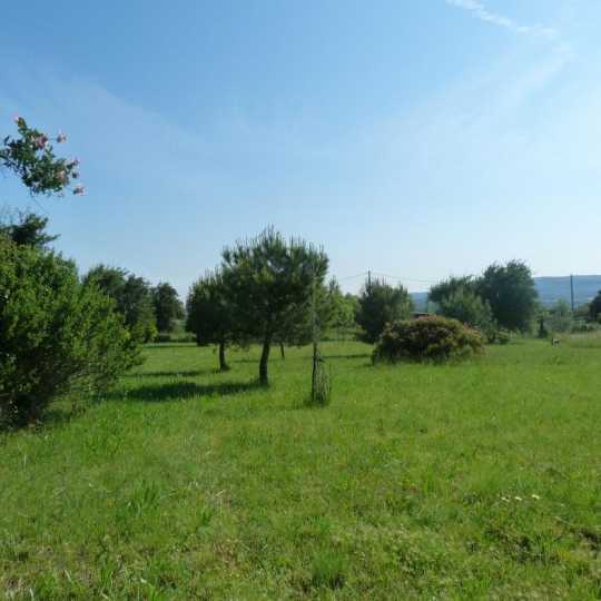  A MEZE IMMOBILIER : Ground | BOUZIGUES (34140) | 3 608 m2 | 65 000 € 