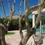  A MEZE IMMOBILIER : Maison / Villa | MEZE (34140) | 130 m2 | 479 000 € 