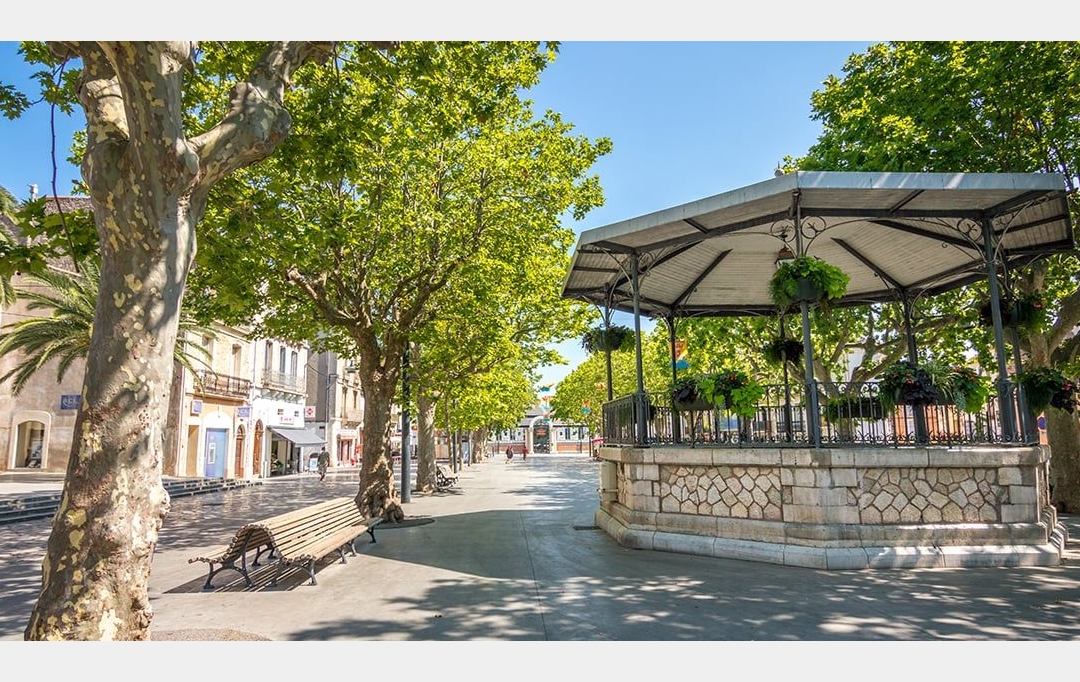 A MEZE IMMOBILIER : Local / Bureau | MEZE (34140) | 60 m2 | 720 € 