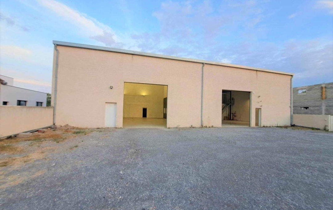 A MEZE IMMOBILIER : Local / Bureau | MEZE (34140) | 300 m2 | 2 150 € 