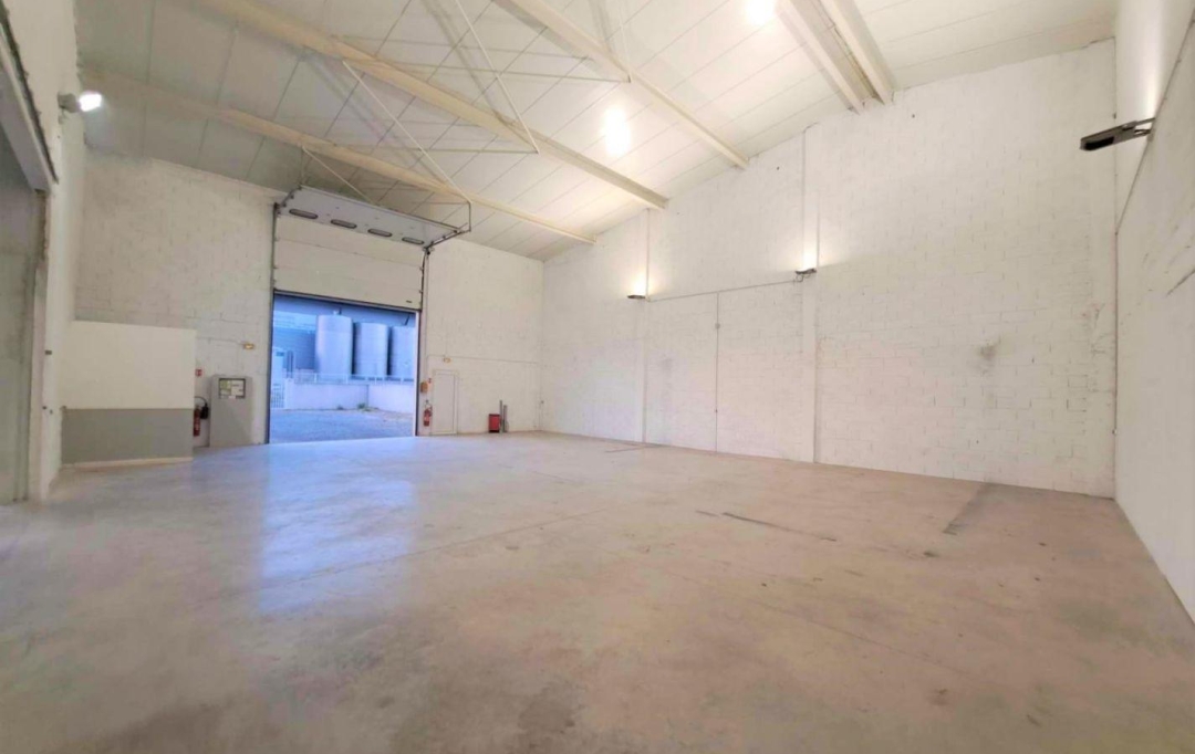 A MEZE IMMOBILIER : Local / Bureau | MEZE (34140) | 300 m2 | 1 920 € 
