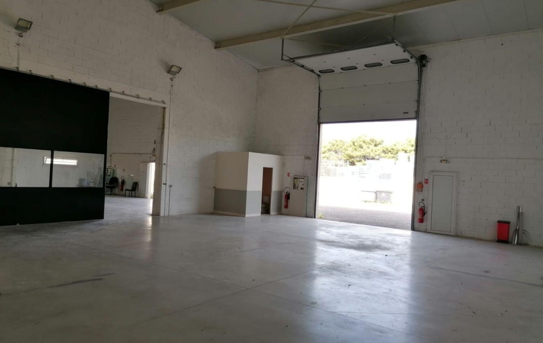 A MEZE IMMOBILIER : Local / Bureau | MEZE (34140) | 300 m2 | 1 920 € 