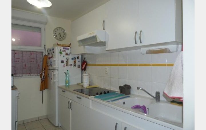 A MEZE IMMOBILIER : Appartement | MEZE (34140) | 50 m2 | 595 € 