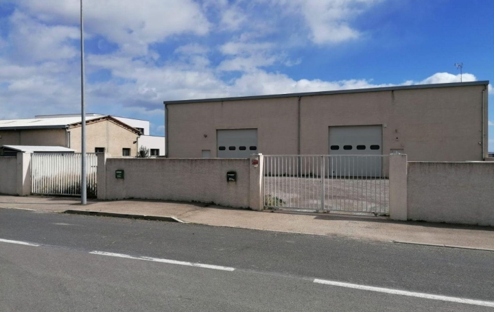  A MEZE IMMOBILIER Local / Bureau | MEZE (34140) | 500 m2 | 3 500 € 